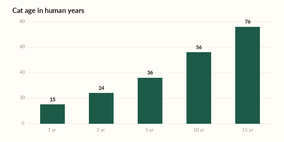 Cat age calculator chart showing a cat's age in human years at 1, 2, 5, 10 and 15 years.