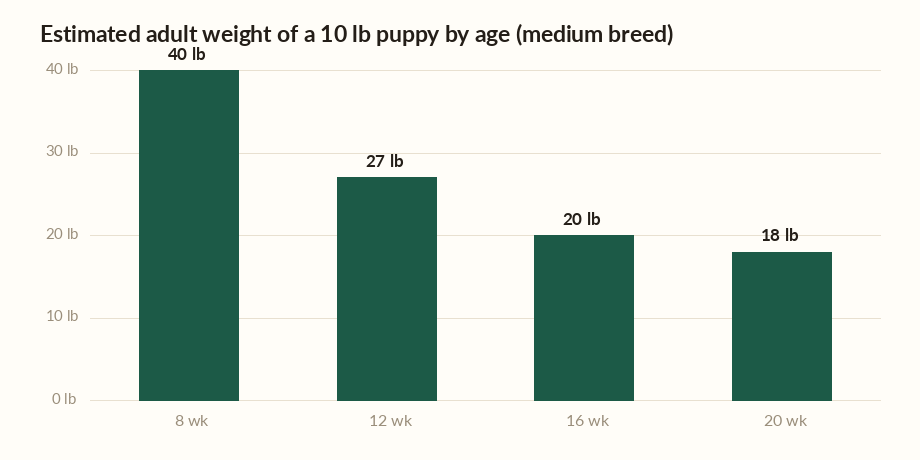 Puppy weight calculator chart showing estimated adult weight for a 10 lb puppy at 8, 12, 16 and 20 weeks.